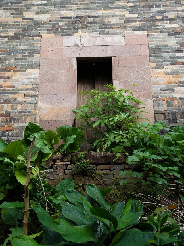 探秘温贯炮楼：深藏于高要乡间的古代军事堡垒