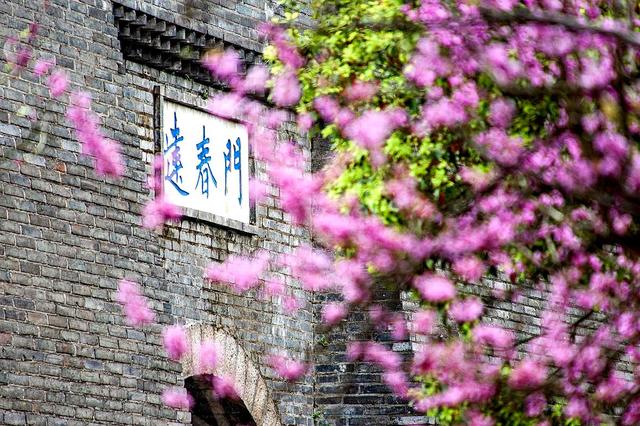 江南宋城，客家摇篮，中国B型城市旅游指南之赣州