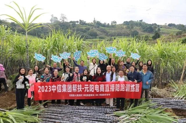 中信助力｜《目的地：中国！》走进元阳，共绘文旅新篇