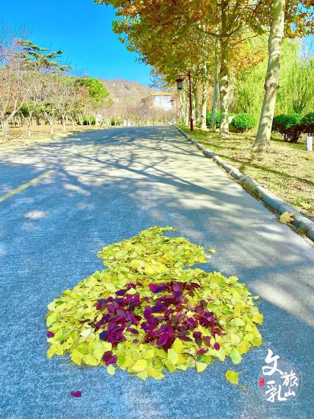 多福山限定！马上出发，奔赴一场绚烂~