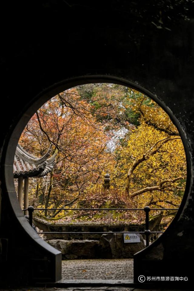 苏州园林秋色拍照攻略！这几个机位包出大片！