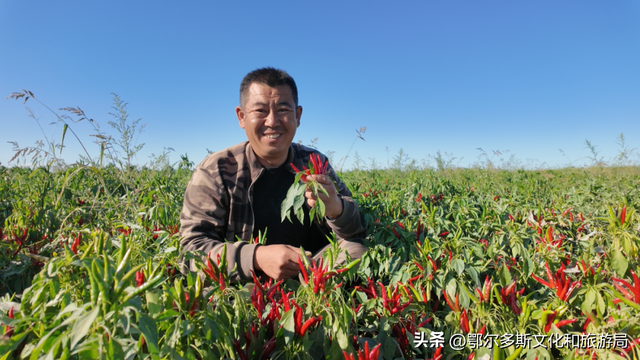 这就是杭锦旗“非来不可”的理由！