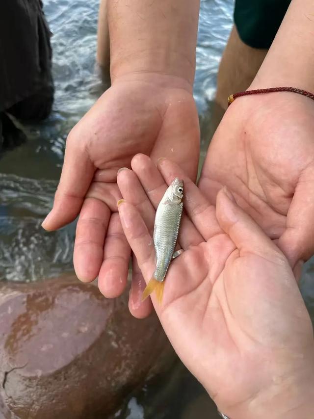 郑州出发2小时左右直达→藏在豫北的 “宝藏地”！