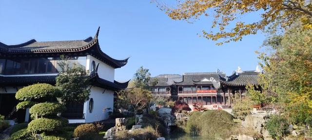寻美薛城丨谁还没去？薛城小江南留园山庄这片初冬美景秘境藏不住了，速来打卡！