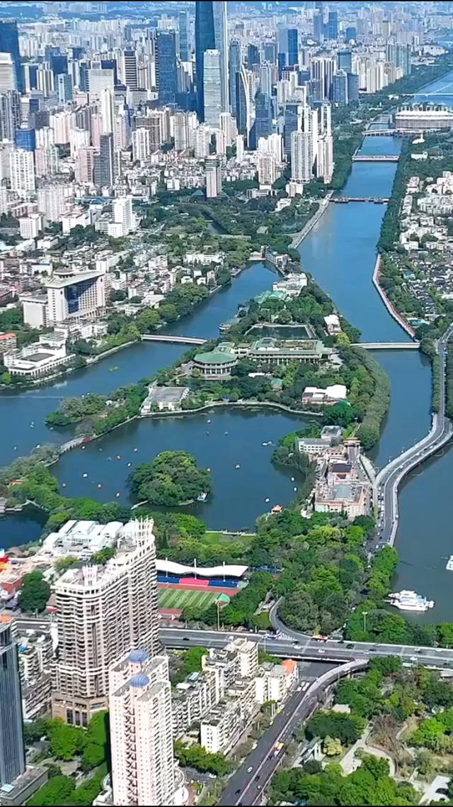 南国风情—广东21地级市市花探访