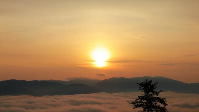 绿春县迷克茶山：云巅日出，一场温柔奔赴