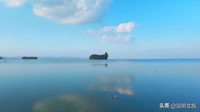 美！美美美！昆明超全水杉打卡地来袭！保姆级攻略快收藏，周末一定要冲~