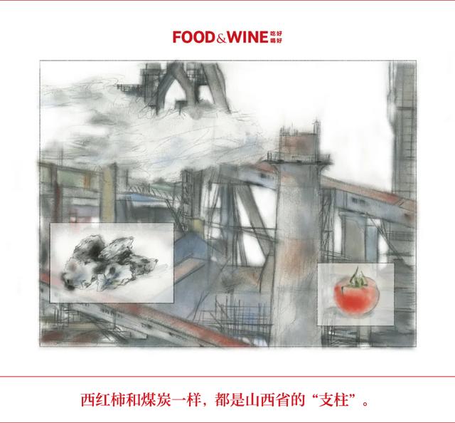 我是山西人,离不开西红柿