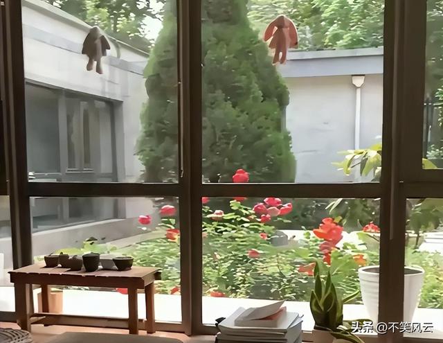 杨振宁离世不到1个月，翁帆近况意外曝光，原来她并非想象中那样