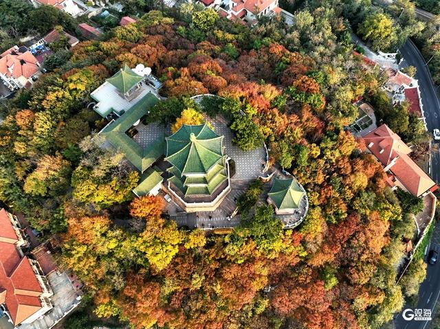 来青岛这里欣赏“秋景未尽”的诗意