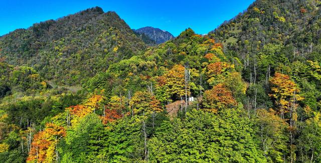 看满山红叶来这里，离广元2仅小时，3条线路任你玩，人少景美！