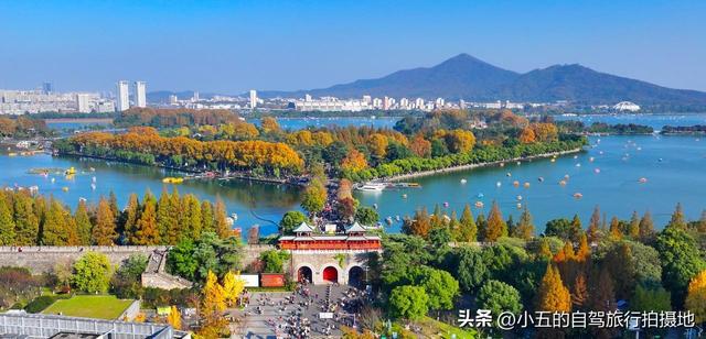 南京秋日赏景全攻略！8 大网红地 + 住宿推荐，红枫银杏梧桐全吃透