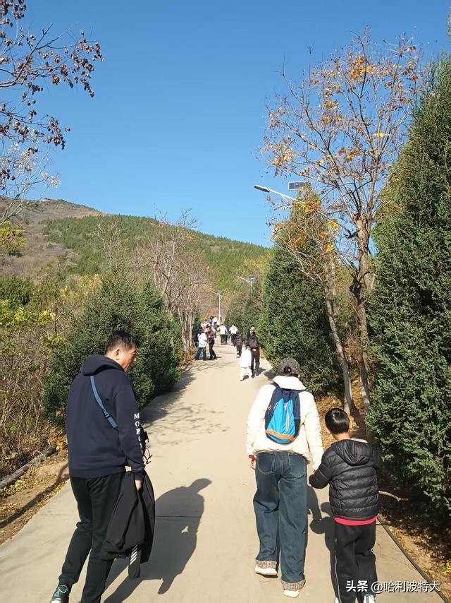 怒征西山公园，立在539.8米的顶峰