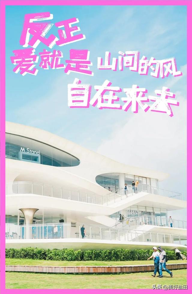 今日宜“疯狂”消费浪漫，反正爱就是______