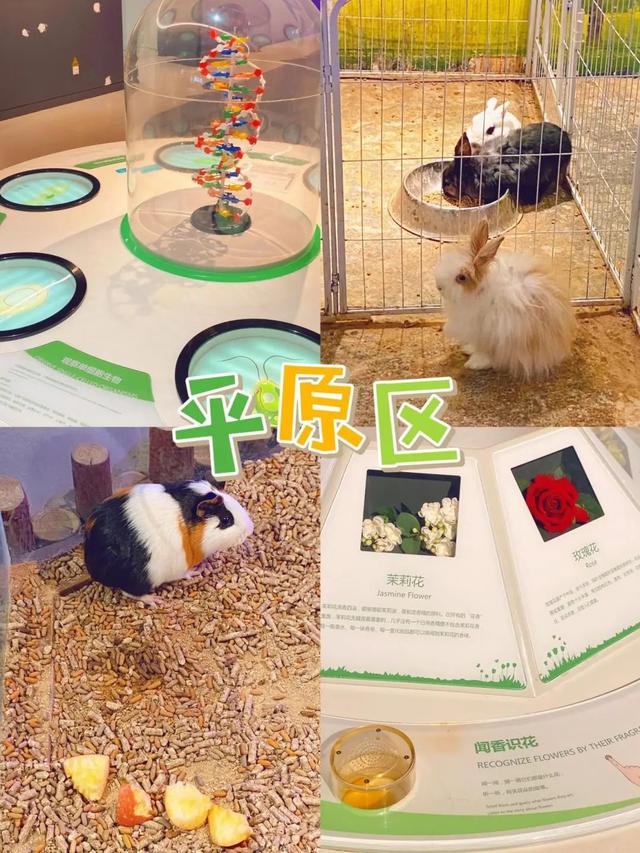青岛市第一高楼的浪漫，坐拥城市至高视点……