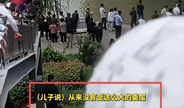 新郎跳河真相大白！双方激烈争吵，女方自认无责，最后1句话曝光