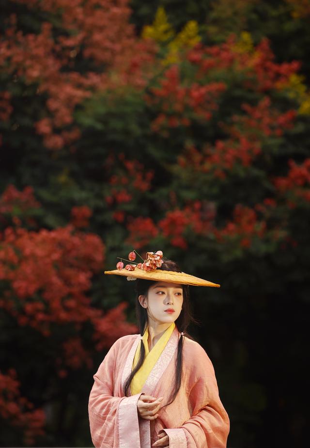 一树栾花一树秋