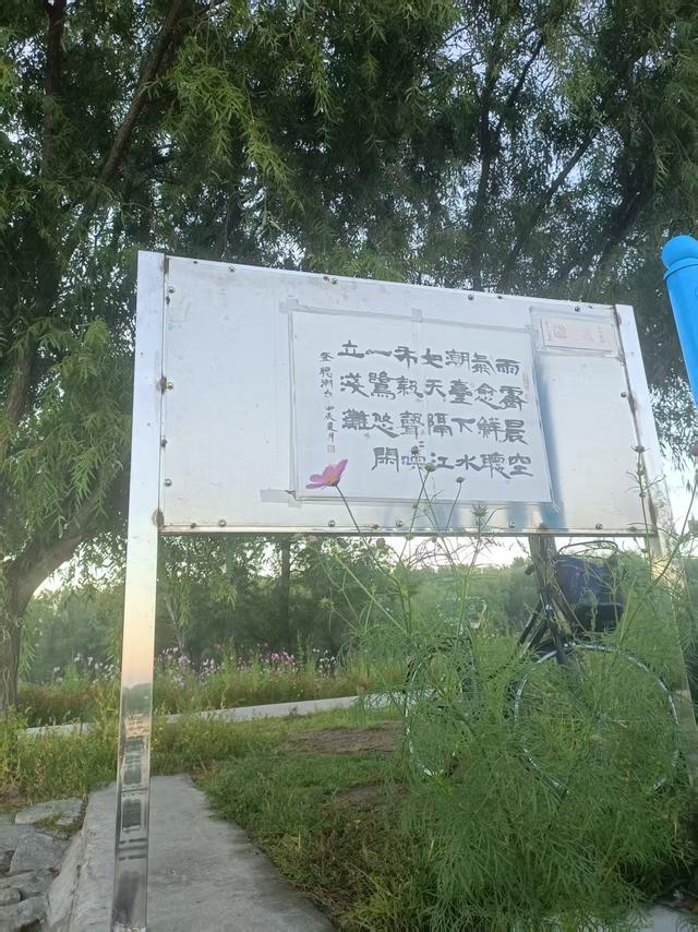 听潮台秋花开
