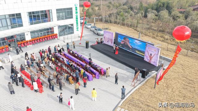 安徽六安绿都疗愈生态园“愈梦空间”品牌启航盛典圆满落幕