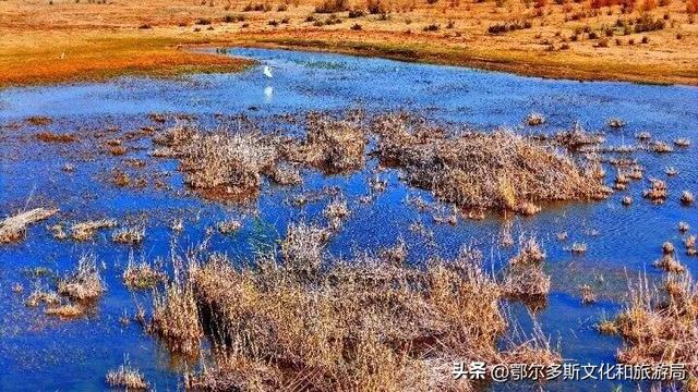 内蒙古杭锦旗：湿地秋景惹人醉
