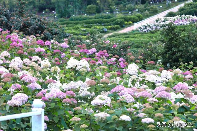 空调续命？不如来阳宗海，吹吹22℃的天然湖风！
