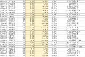 J·P摩根半年报重仓91家A股公司解析图片