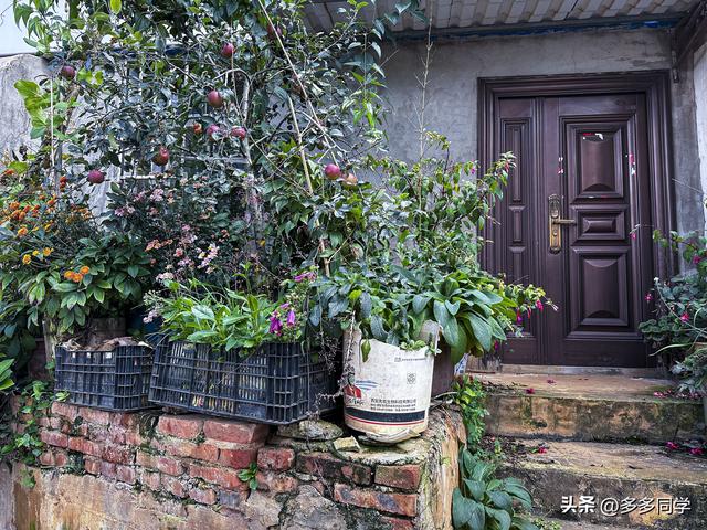 寻访梁王山脚步哨村，明代哨兵后人，守护着怎样的老宅历史？