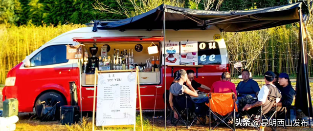 寻鸥潮玩！海口小渔村码头观鸥集市开市啦！