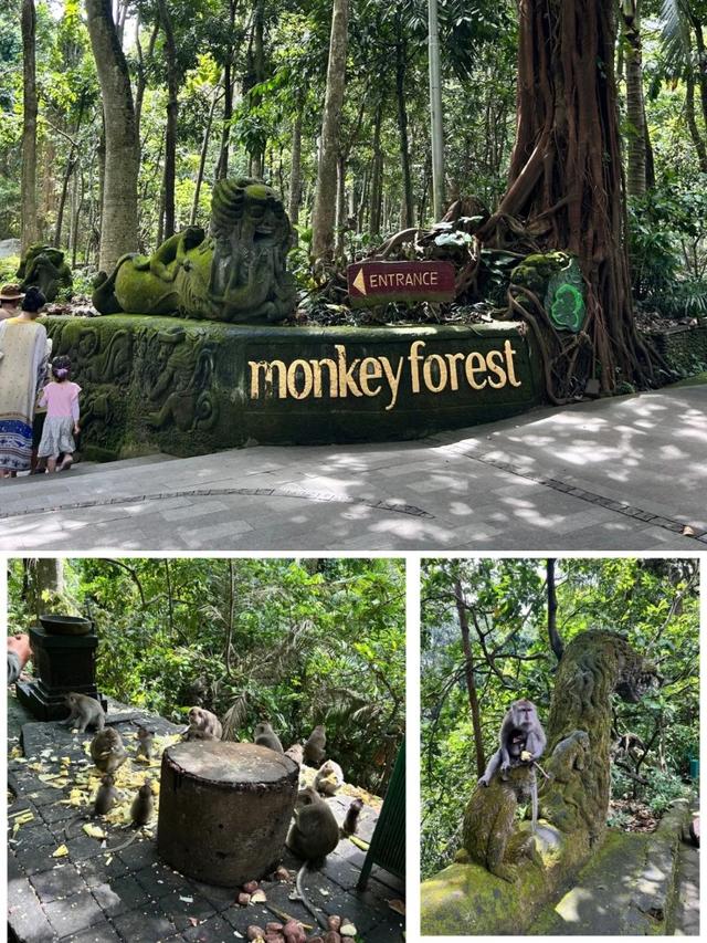 刚回来！巴厘岛6天5晚旅游攻略，全程专车接送，跟着玩就对了！