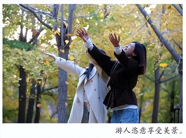 【潍坊寿光】初冬银杏美