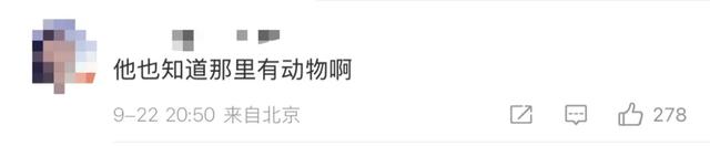 “感谢支持我们大闹天宫”,蔡国强烟花秀现场感言再引质疑!探访烟花燃放地,距最近水体仅30米!