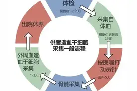 捐献造血干细胞对人体有损害吗图片