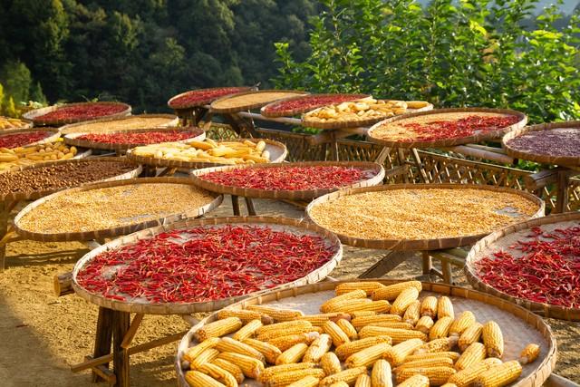 不比黄山，枫景如画，杏色满城，安徽这几个小众地方特有精游感！