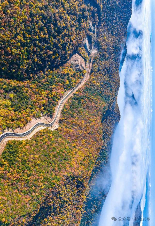 寻色三晋·山河入画｜太行一号旅游公路：在红叶云海间，驶入秋日的山水长卷