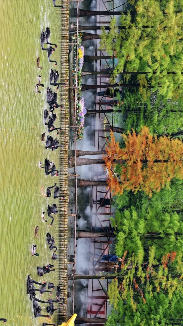 河南秋景大片，来了！（请横屏观看）