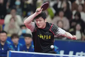 樊振东回应图片