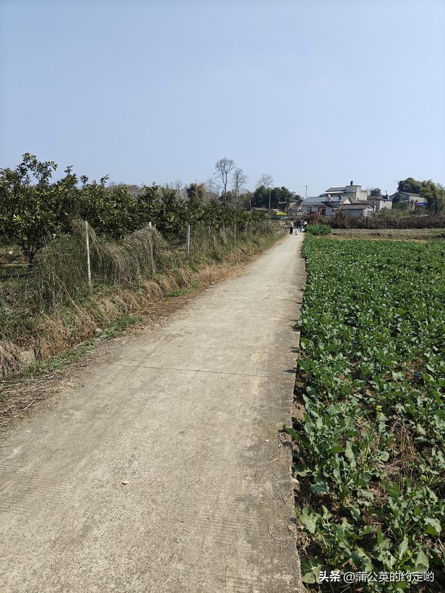 回顾一下今年春节，明天又要启程