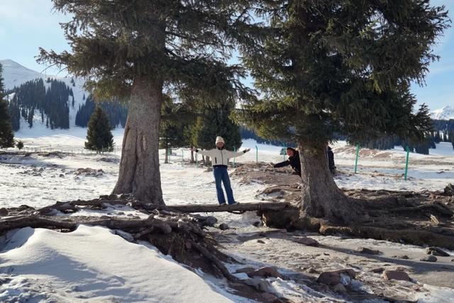 如要选一个冬季最佳拍雪景的地方,首选一定是它
