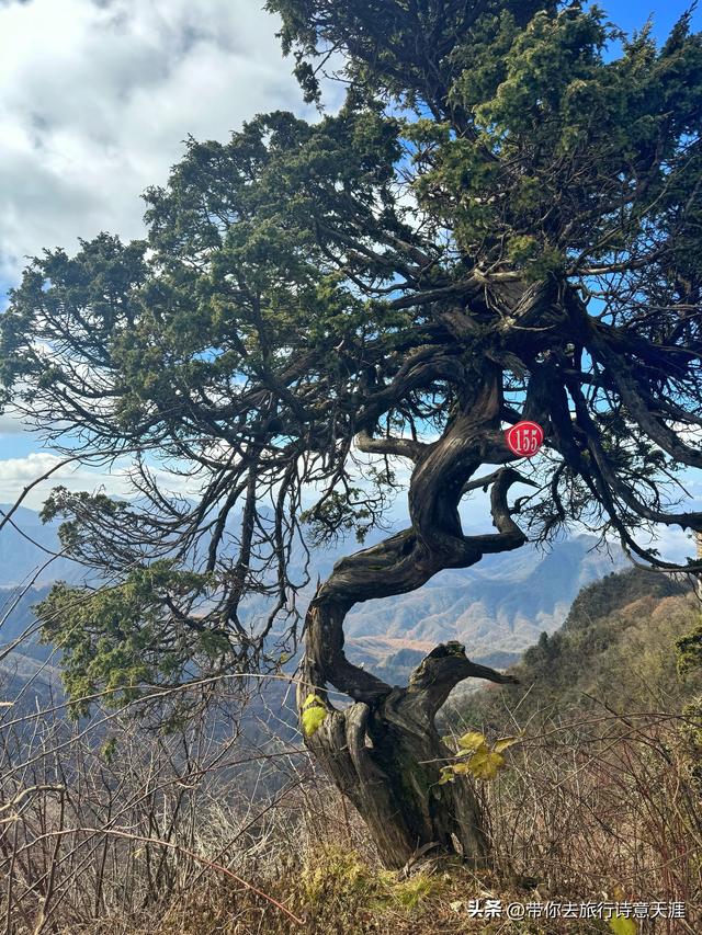 光雾山秋色斑斓，迎来23届光雾山国际红叶节