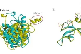 首次公布！我国空间站内发现微生物新物种图片