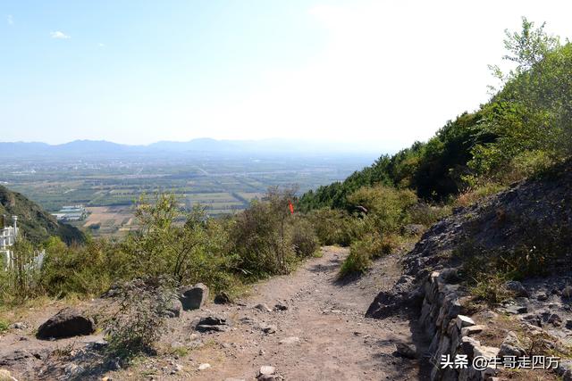 延庆应梦寺（五）：山巅极目收千嶂，林海听风涤尘心