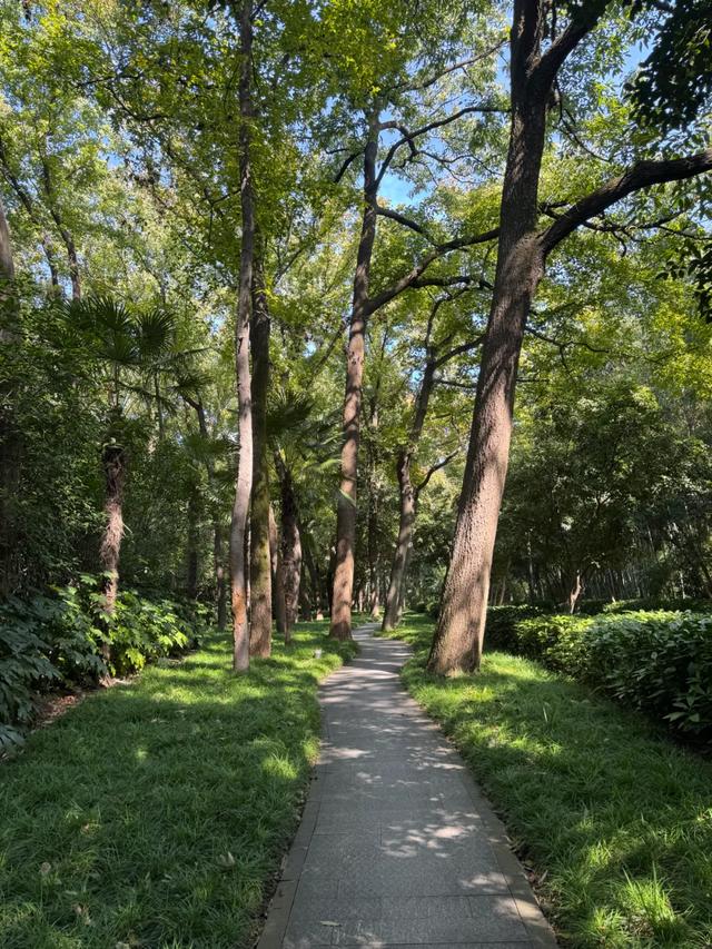 中国“学历”最高的省会，史诗级出圈