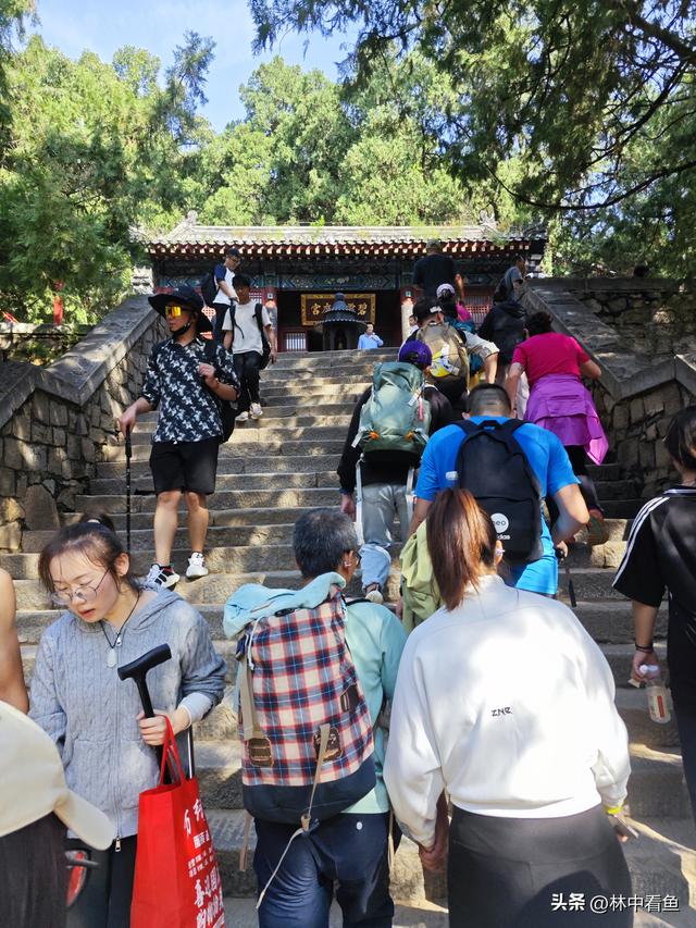 徒步登泰山之一——3小时从一天门到中天门