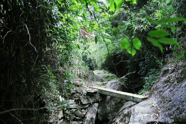 跟着“中国第一旅游博主”，打卡富阳万市古道！