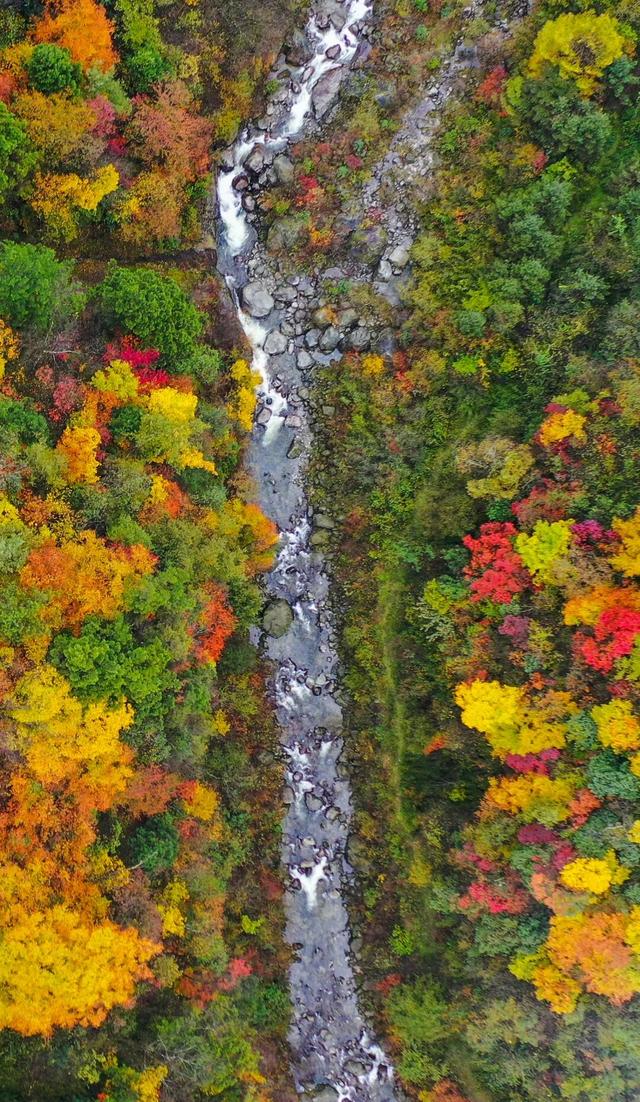 正式通车！全线免费！新挖赏秋天花板小城，绝美彩林不输九寨！地道美食50元吃爽！