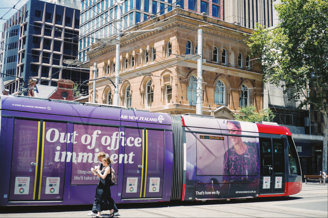 今年冬天，我想去这里过夏天