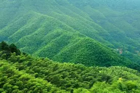 珠遵协作：奏响黔北乡村振兴协奏曲图片