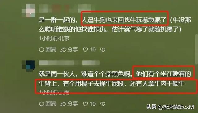 五台山牛群攻击游客反转！疑景区甩锅"挑衅"，当事人曝更多细节