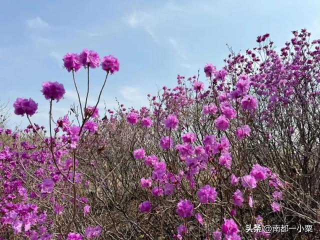 吉林延边，四大古镇
