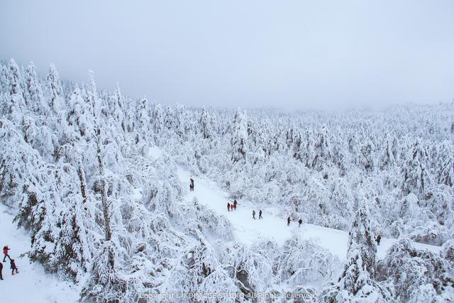 银色世界，雪中禅意：峨眉山的冬天美成了佛国仙境